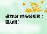 磁力鎖門禁安裝視頻（磁力鎖）