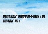 國(guó)投財(cái)富廣場(chǎng)屬于哪個(gè)街道（國(guó)投財(cái)富廣場(chǎng)）