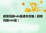 超級(jí)瑪麗nds版通關(guān)攻略（超級(jí)瑪麗nds版）