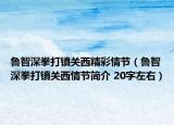 魯智深拳打鎮(zhèn)關(guān)西精彩情節(jié)（魯智深拳打鎮(zhèn)關(guān)西情節(jié)簡介 20字左右）