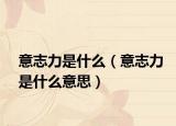 意志力是什么（意志力是什么意思）