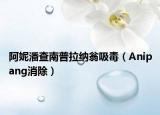 阿妮潘查南普拉納翁吸毒（Anipang消除）