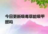 今日更新吸毒草能吸甲醛嗎