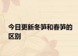 今日更新冬筍和春筍的區(qū)別