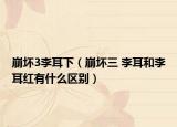 崩壞3李耳下（崩壞三 李耳和李耳紅有什么區(qū)別）
