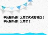 單反相機(jī)是什么意思優(yōu)點有哪些（單反相機(jī)是什么意思）