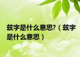 茲字是什么意思?（茲字是什么意思）