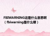 FBIWARNING這是什么意思?。╢biwarning是什么梗）