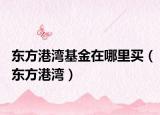 東方港灣基金在哪里買（東方港灣）