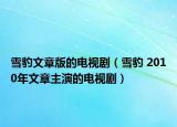 雪豹文章版的電視?。ㄑ┍?2010年文章主演的電視劇）