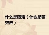 什么是磁矩（什么是磁效應）