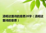 清明這首詩的意思20字（清明這首詩的意思）