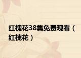 紅槐花38集免費觀看（紅槐花）