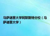 馬薩諸塞大學(xué)阿默斯特分校（馬薩諸塞大學(xué)）