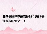 壯游奇跡世界暗影技能（暗影 奇跡世界職業(yè)之一）