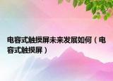 電容式觸摸屏未來發(fā)展如何（電容式觸摸屏）