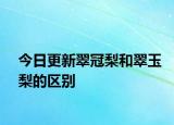 今日更新翠冠梨和翠玉梨的區(qū)別