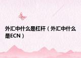 外匯中什么是杠桿（外匯中什么是ECN）