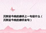 沉默是今晚的康橋上一句是什么（沉默是今晚的康橋全句）