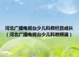 河北廣播電視臺少兒科教欄目成長（河北廣播電視臺少兒科教頻道）
