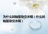 為什么叫秈型雜交水稻（什么叫秈型雜交水稻）