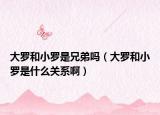 大羅和小羅是兄弟嗎（大羅和小羅是什么關(guān)系?。? /></span></a>
                        <h2><a href=