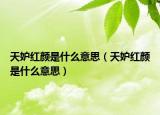 天妒紅顏是什么意思（天妒紅顏是什么意思）