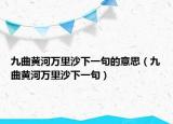 九曲黃河萬里沙下一句的意思（九曲黃河萬里沙下一句）