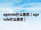 agenda什么意思（agenda什么意思）