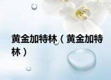 黃金加特林（黃金加特林）