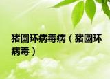 豬圓環(huán)病毒?。ㄘi圓環(huán)病毒）