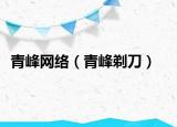 青峰網(wǎng)絡(luò)（青峰剃刀）