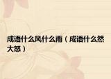 成語什么風(fēng)什么雨（成語什么然大怒）