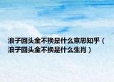 浪子回頭金不換是什么意思知乎（浪子回頭金不換是什么生肖）