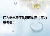 壓力繼電器工作原理動(dòng)畫(huà)（壓力繼電器）