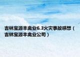 吉林寶源豐禽業(yè)6.3火災(zāi)事故感想（吉林寶源豐禽業(yè)公司）