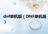 dnf單機版（DNF單機版）