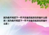 因為我不知道下一輩子還是否能遇見你是什么歌詞（因為我不知道下一輩子還是否能遇見你是什么歌）