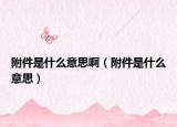 附件是什么意思?。ǜ郊鞘裁匆馑迹? /></span></a>
                        <h2><a href=
