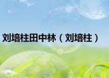 劉培柱田中林（劉培柱）