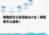 榴蓮核怎么煲湯做法大全（榴蓮核怎么盆栽）
