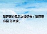 巭孬嫑夯昆怎么讀語音（巭孬嫑夯昆 怎么讀）