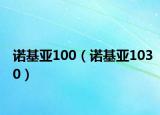 諾基亞100（諾基亞1030）