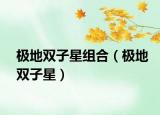 極地雙子星組合（極地雙子星）