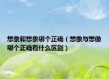 想象和想象哪個(gè)正確（想象與想像哪個(gè)正確有什么區(qū)別）