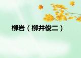 柳巖（柳井俊二）