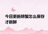 今日更新螃蟹怎么保存才新鮮
