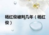 楊紅俊被判幾年（楊紅?。? /></span></a>
                        <h2><a href=