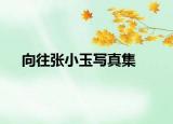 向往張小玉寫真集