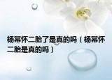 楊冪懷二胎了是真的嗎（楊冪懷二胎是真的嗎）